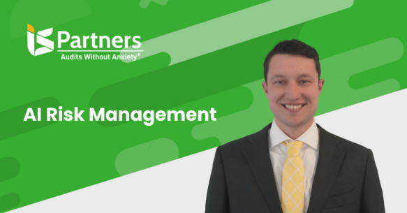 AI Risk management