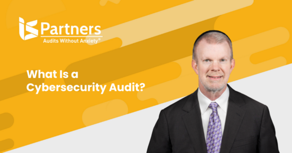 Cybersecurity Audit