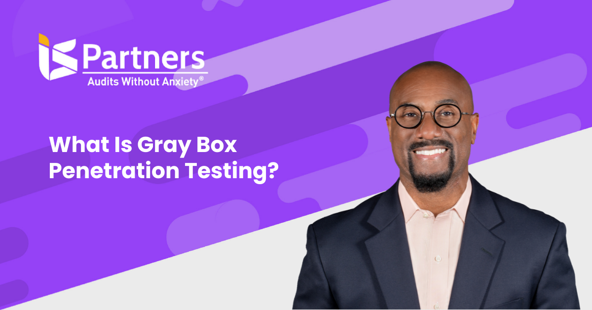 gray box penetration testing